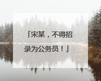 宋某，不得招录为公务员！