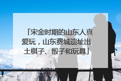 宋金时期的山东人真爱玩，山东费城遗址出土棋子、骰子和玩具