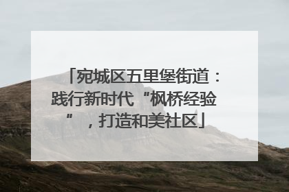 宛城区五里堡街道：践行新时代“枫桥经验”，打造和美社区