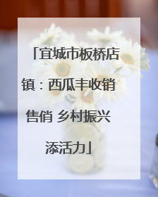 宜城市板桥店镇：西瓜丰收销售俏 乡村振兴添活力