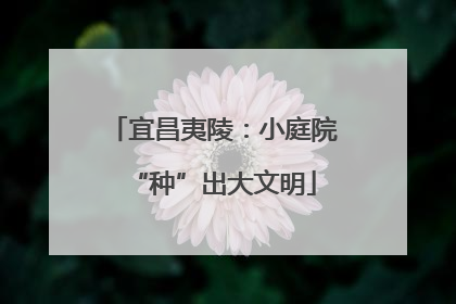 宜昌夷陵：小庭院“种”出大文明