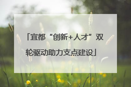宜都“创新+人才”双轮驱动助力支点建设