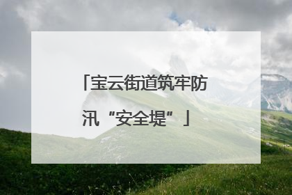 宝云街道筑牢防汛“安全堤”