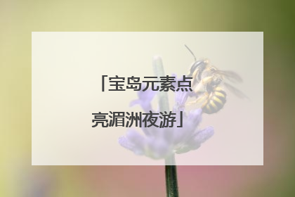 宝岛元素点亮湄洲夜游