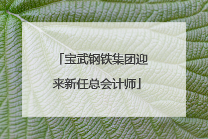 宝武钢铁集团迎来新任总会计师