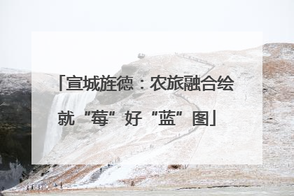 宣城旌德：农旅融合绘就“莓”好“蓝”图