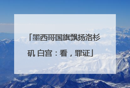 墨西哥国旗飘扬洛杉矶 白宫：看，罪证
