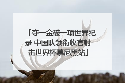 夺一金破一项世界纪录 中国队领衔收官射击世界杯慕尼黑站