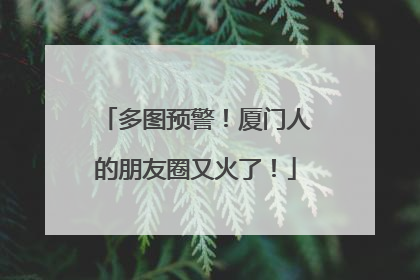 多图预警！厦门人的朋友圈又火了！