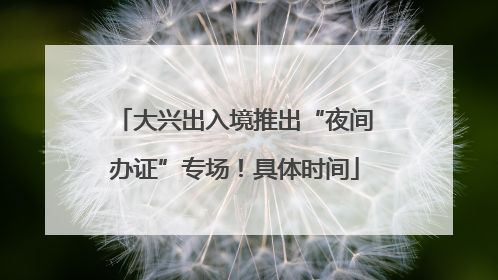 大兴出入境推出“夜间办证”专场！具体时间
