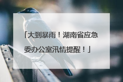 大到暴雨！湖南省应急委办公室汛情提醒！