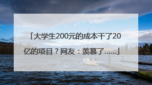 大学生200元的成本干了20亿的项目？网友：羡慕了……