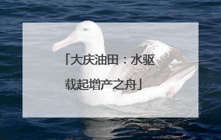 大庆油田：水驱载起增产之舟