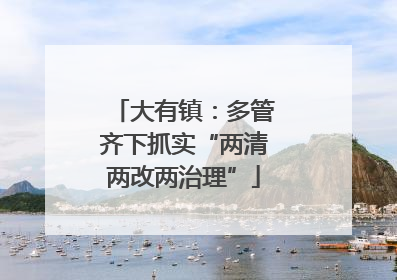 大有镇：多管齐下抓实“两清两改两治理”
