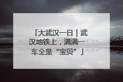 大武汉一日｜武汉地铁上，满满一车全是“宝贝”