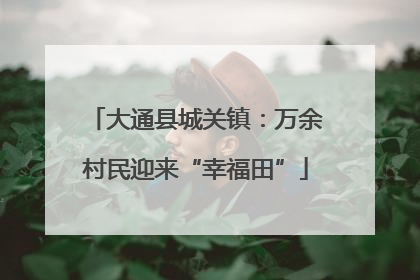 大通县城关镇：万余村民迎来“幸福田”
