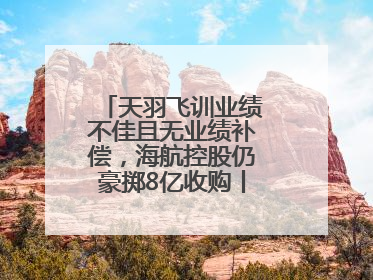 天羽飞训业绩不佳且无业绩补偿，海航控股仍豪掷8亿收购丨一周市场观察