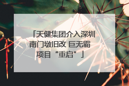 天健集团介入深圳南门墩旧改 巨无霸项目“重启”