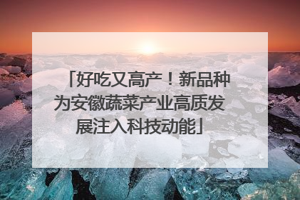 好吃又高产！新品种为安徽蔬菜产业高质发展注入科技动能