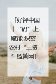 好评中国丨“码”上赋能 织密农村“三资”监管网