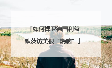 如何捍卫德国利益 默茨访美很“烧脑”