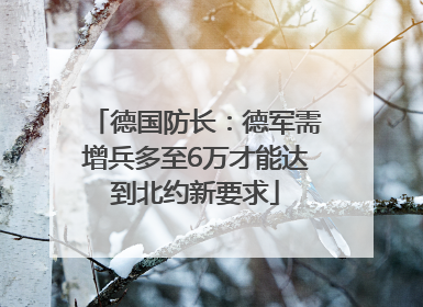 德国防长：德军需增兵多至6万才能达到北约新要求