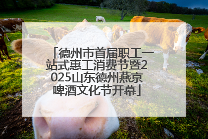 德州市首届职工一站式惠工消费节暨2025山东德州燕京啤酒文化节开幕