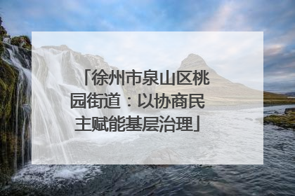徐州市泉山区桃园街道：以协商民主赋能基层治理