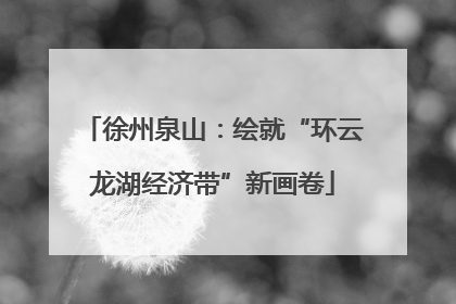 徐州泉山：绘就“环云龙湖经济带”新画卷