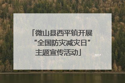 微山县西平镇开展“全国防灾减灾日”主题宣传活动