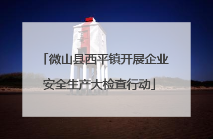 微山县西平镇开展企业安全生产大检查行动