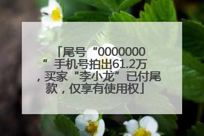 尾号“0000000”手机号拍出61.2万，买家“李小龙”已付尾款，仅享有使用权
