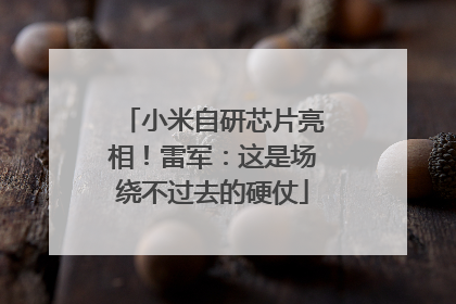 小米自研芯片亮相！雷军：这是场绕不过去的硬仗