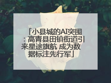 小县城的AI突围：高青县田镇街道引来星途旗航 成为数据标注先行军
