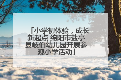 小学初体验，成长新起点 绵阳市盐亭县岐伯幼儿园开展参观小学活动