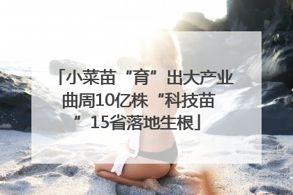 小菜苗“育”出大产业 曲周10亿株“科技苗”15省落地生根