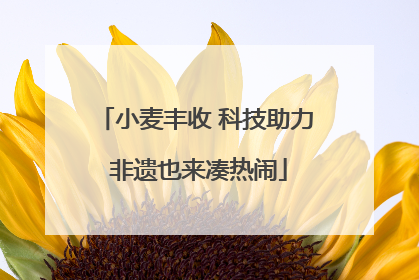 小麦丰收 科技助力 非遗也来凑热闹