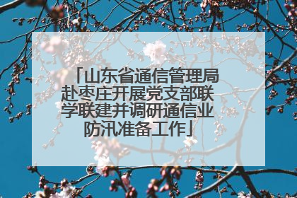 山东省通信管理局赴枣庄开展党支部联学联建并调研通信业防汛准备工作