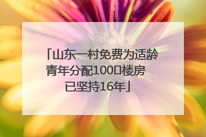 山东一村免费为适龄青年分配100㎡楼房 已坚持16年