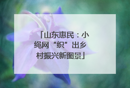 山东惠民：小绳网“织”出乡村振兴新图景