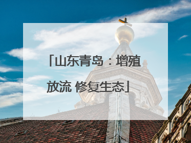 山东青岛：增殖放流 修复生态