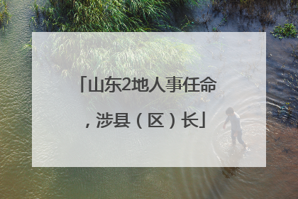山东2地人事任命，涉县（区）长