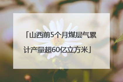山西前5个月煤层气累计产量超60亿立方米