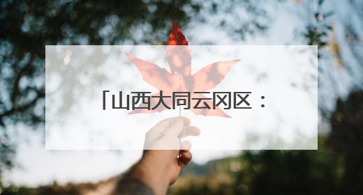 山西大同云冈区：特色优势产业催生农民“致富花”