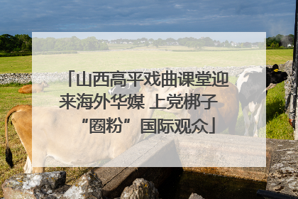山西高平戏曲课堂迎来海外华媒 上党梆子“圈粉”国际观众