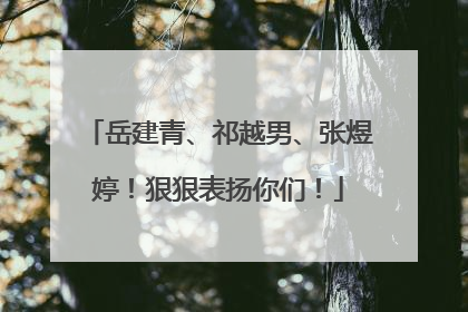 岳建青、祁越男、张煜婷！狠狠表扬你们！