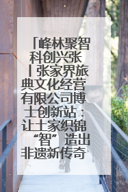 峰林聚智 科创兴张丨张家界旅典文化经营有限公司博士创新站：让土家织锦“智”造出非遗新传奇