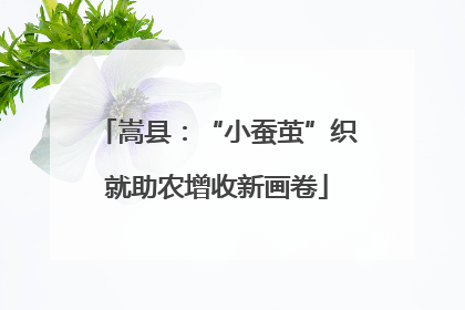 嵩县：“小蚕茧”织就助农增收新画卷