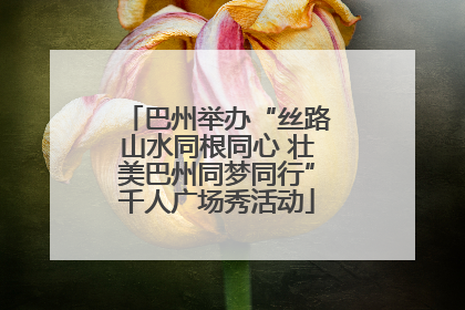 巴州举办“丝路山水同根同心 壮美巴州同梦同行”千人广场秀活动