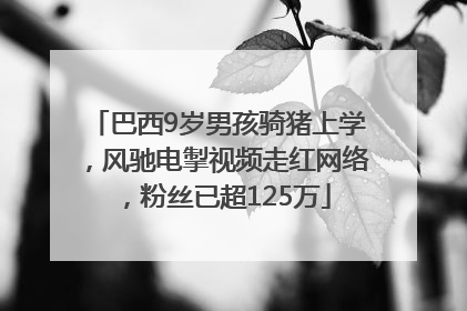 巴西9岁男孩骑猪上学，风驰电掣视频走红网络，粉丝已超125万